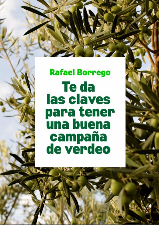 Principales puntos que hay que tener en cuenta para tener una buena campaña de verdeo