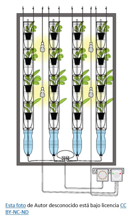 Jardín urbano en espacio pequeño