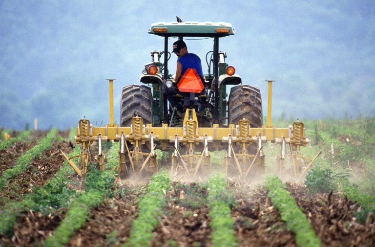 Agricultor
