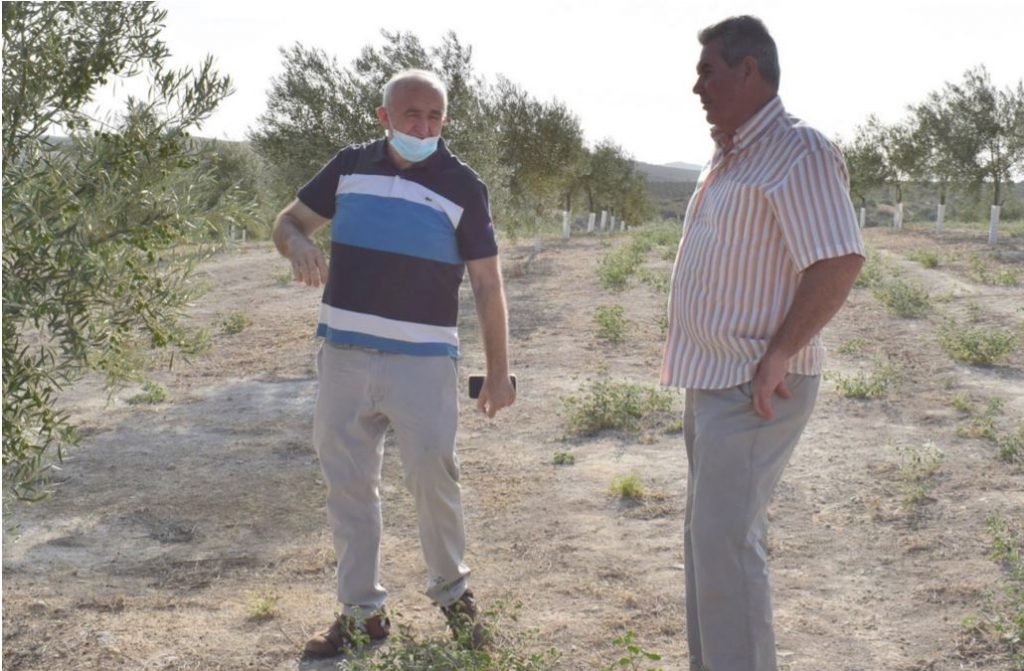 Experto agrícola