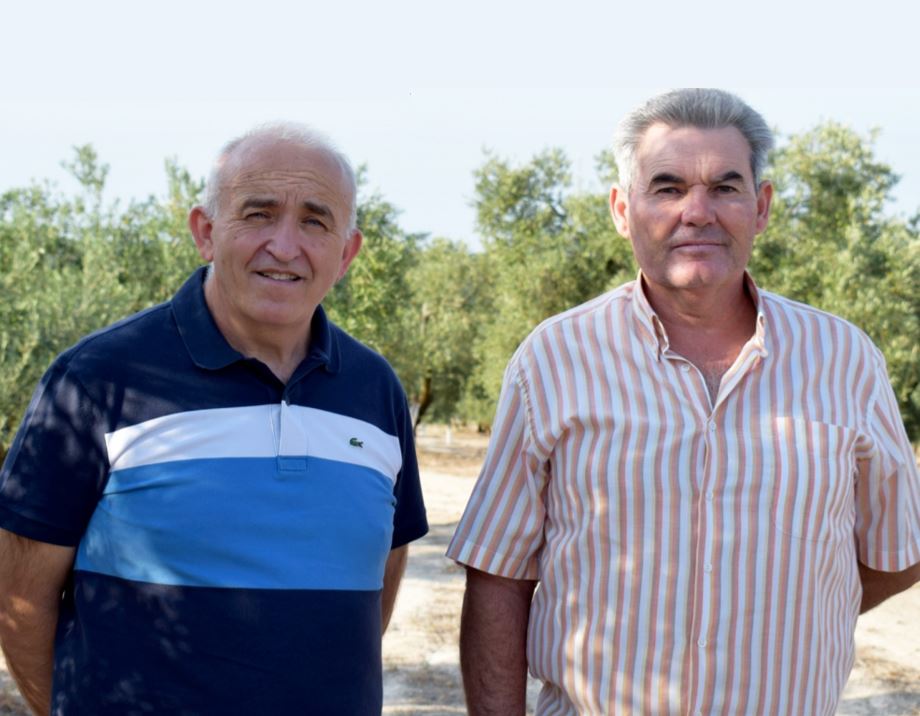Experto del sector agrícola
